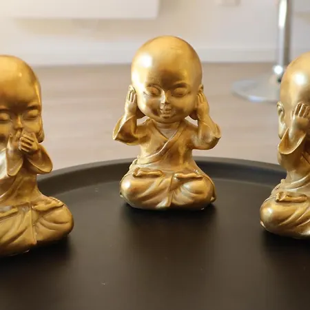 Le Moment Bien-etre - Avec Privatif * Saint-Omer (Pas-de-Calais)